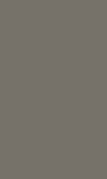 Warm Grey Dark 0755FH